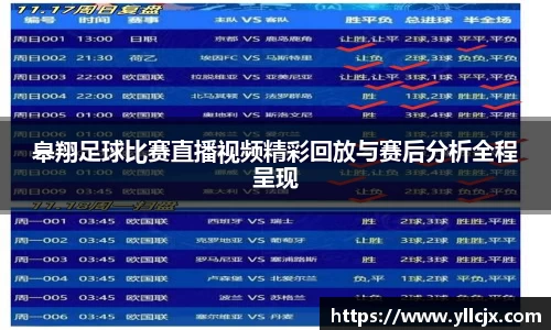 皋翔足球比赛直播视频精彩回放与赛后分析全程呈现