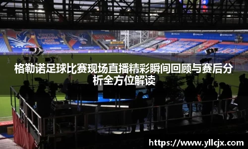 格勒诺足球比赛现场直播精彩瞬间回顾与赛后分析全方位解读